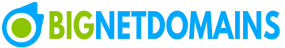 BigNetDomain Logo